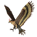 Falco