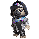 Pet Skin: City Pug