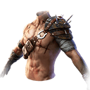 Wasteland Roamer (Top)