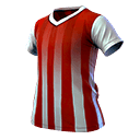 Striped Soccer Jersey (Top)