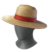 Pirate's Straw Hat
