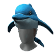 Dolphin Head