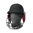Eminent Cricketer (Mask)