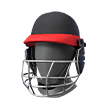 Bumblebee Cricketer (Mask)