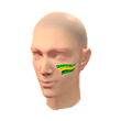 Brazil Facepaint