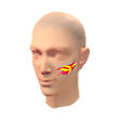 Vietnam Facepaint