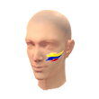 Colombia Facepaint