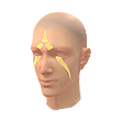 Warrior Prince (Facepaint)