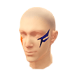 Paradox Facepaint