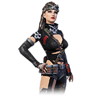 Madame Punisher Bundle