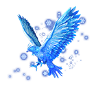 Snowfall Falco Deluxe Bundle