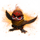 Hoot On Fire Pet Skin Bundle