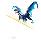 Cosmic Drachen & Guardian Drachen Bundle