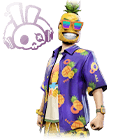 Pineapple Spree Bundle