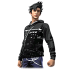 Linear Theory Bundle