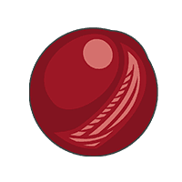 Cricket Ball