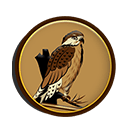 Arab Eagle Token
