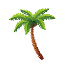 Coconut Tree