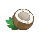Coconut