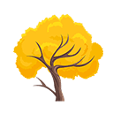 Golden Trumpet Tree