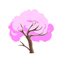 Pink Trumpet Tree