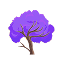 Purple Trumpet Tree