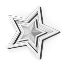 CELEB SILVER STAR TOKEN