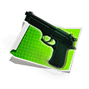 The Master of Guns #2