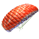 Parachute - Salmon