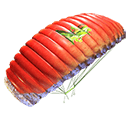 Parachute - Squid Sushi