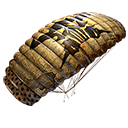 Parachute - D.A.N.G.E.R