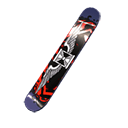 Skyboard -  Sickness