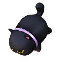 Skyboard - Kitty Ride