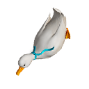 Skyboard - Speedy Goosy