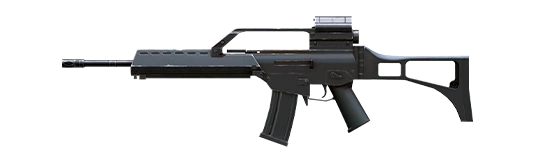 G36